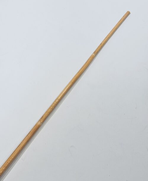 Bamboo cane